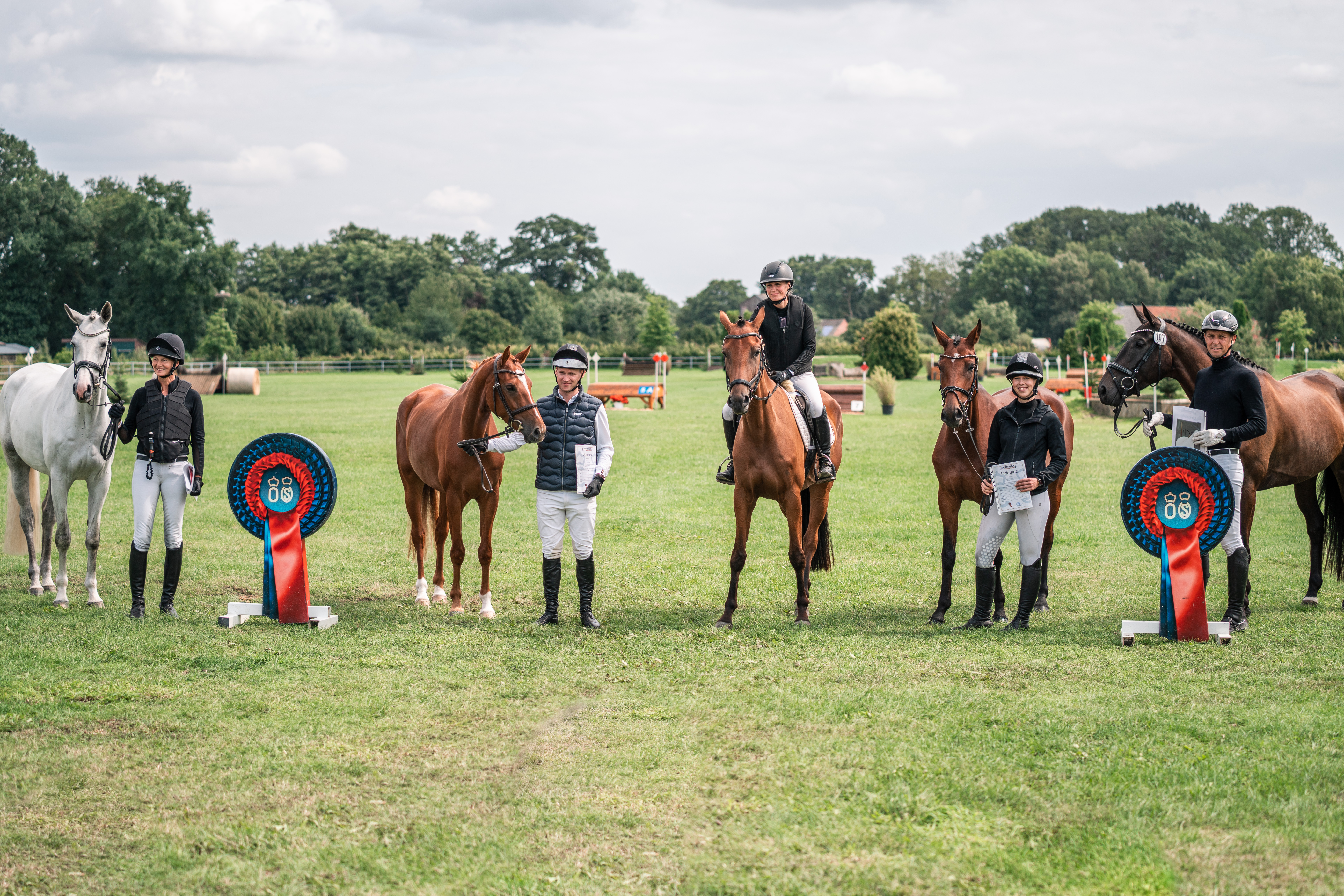 Buch "Das Oldenburger Pferd"