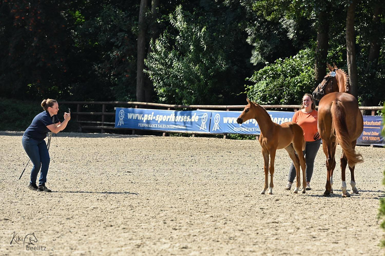 Person macht Fotos von zwei Pferden und einer weiteren Person