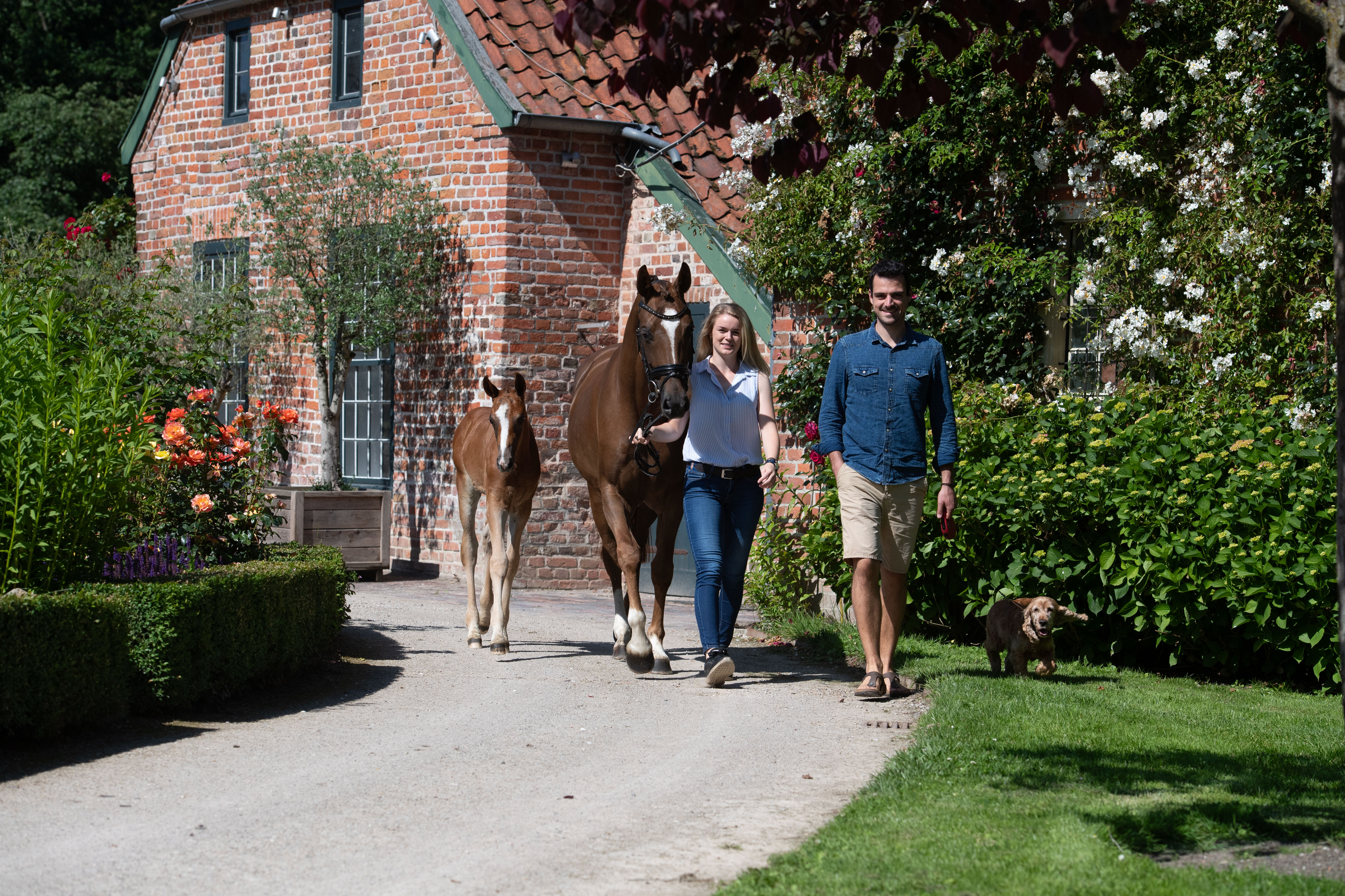 Zwei Personen laufen neben zwei Pferden